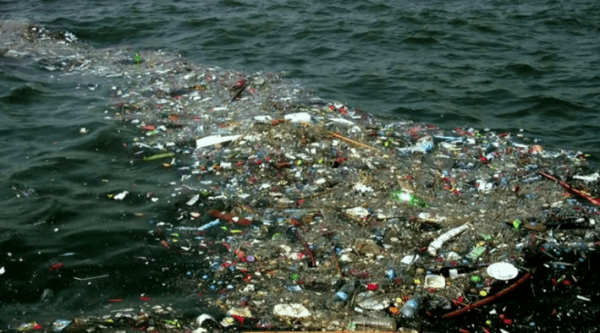 a line of refuse in the ocean