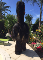 Screen Shot 2017-03-18 at 7.12.08 PM