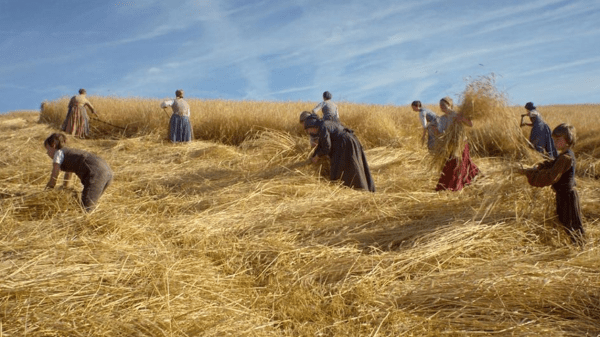 Screen Shot 2019-08-06 at 12.43.36 AM.png